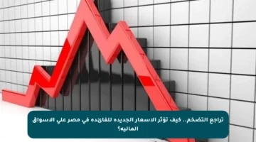 تراجع التضخم.. كيف تؤثر الأسعار الجديدة للفائدة في مصر على الأسواق المالية؟